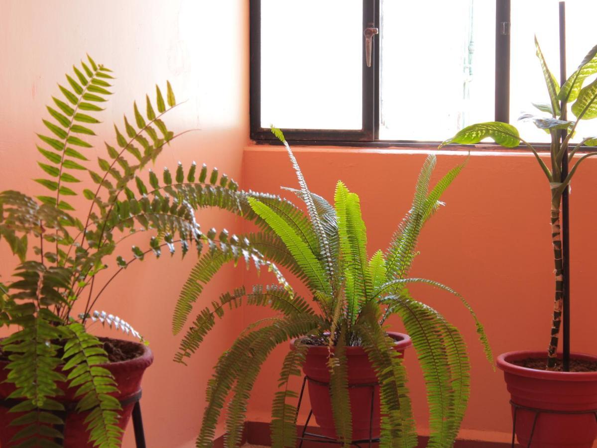 Hotel Galaxia Oaxaca Eksteriør bilde